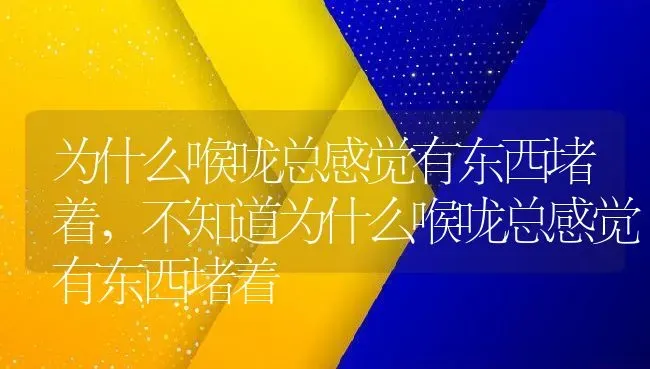 为什么喉咙总感觉有东西堵着,不知道为什么喉咙总感觉有东西堵着 | 宠物百科知识