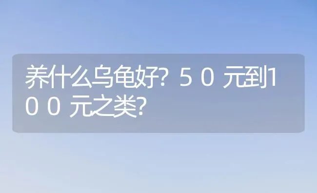 养什么乌龟好？50元到100元之类？ | 动物养殖问答