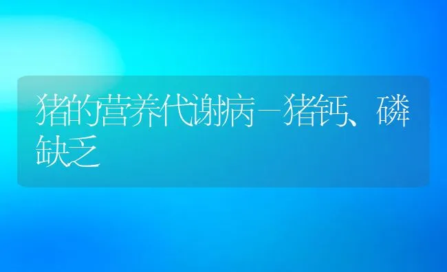 猪的营养代谢病－猪钙、磷缺乏 | 动物养殖学堂