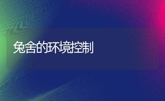 兔舍的环境控制 | 动物养殖教程