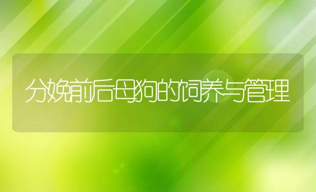 泥鳅的笼捕方法 | 水产养殖知识