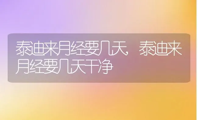 泰迪来月经要几天,泰迪来月经要几天干净 | 宠物百科知识