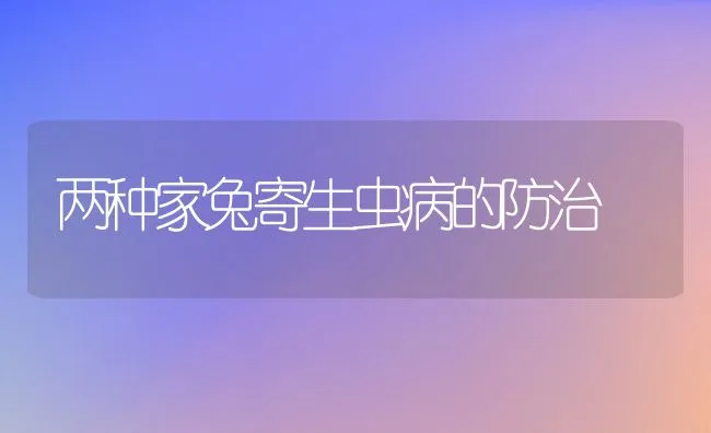 两种家兔寄生虫病的防治 | 动物养殖学堂