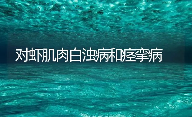 对虾肌肉白浊病和痉挛病 | 海水养殖技术