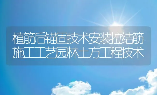 植筋后锚固技术安装拉结筋施工工艺园林土方工程技术 | 水产养殖知识