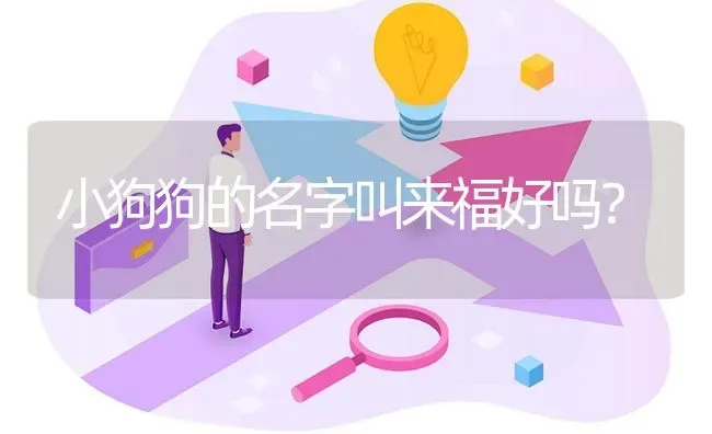 小狗狗的名字叫来福好吗？ | 动物养殖问答