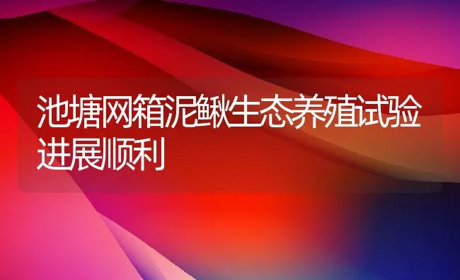 池塘网箱泥鳅生态养殖试验进展顺利 | 水产养殖知识