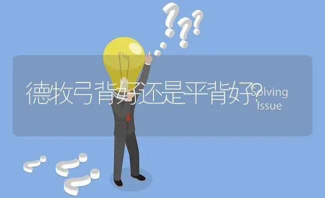 德牧弓背好还是平背好？ | 动物养殖问答