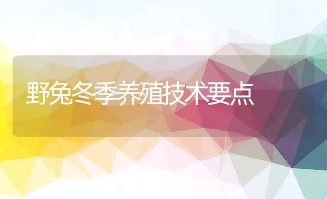 野兔冬季养殖技术要点 | 水产养殖知识