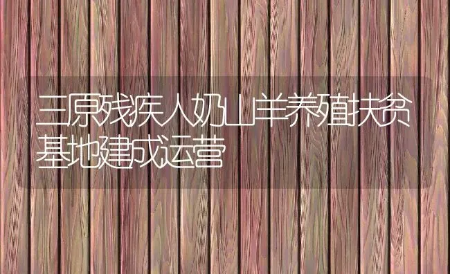 三原残疾人奶山羊养殖扶贫基地建成运营 | 动物养殖教程