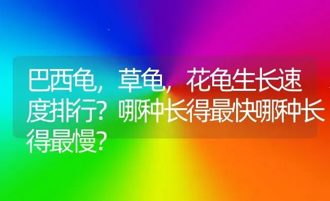 巴西龟，草龟，花龟生长速度排行？哪种长得最快哪种长得最慢？ | 动物养殖问答