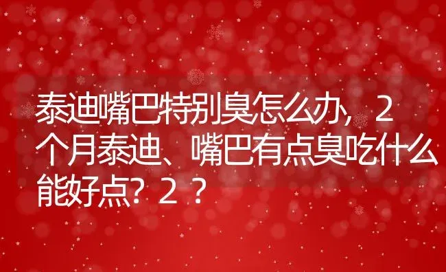 泰迪嘴巴特别臭怎么办,2个月泰迪、嘴巴有点臭吃什么能好点？2？ | 宠物百科知识