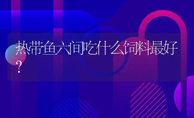 热带鱼六间吃什么饲料最好？ | 鱼类宠物饲养