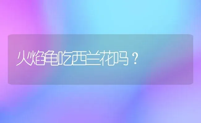 火焰龟吃西兰花吗？ | 动物养殖问答