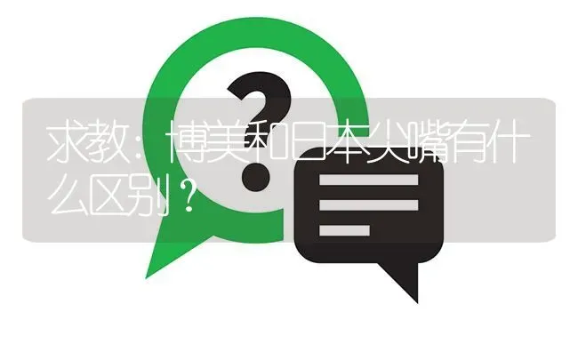 求教：博美和日本尖嘴有什么区别？ | 动物养殖问答