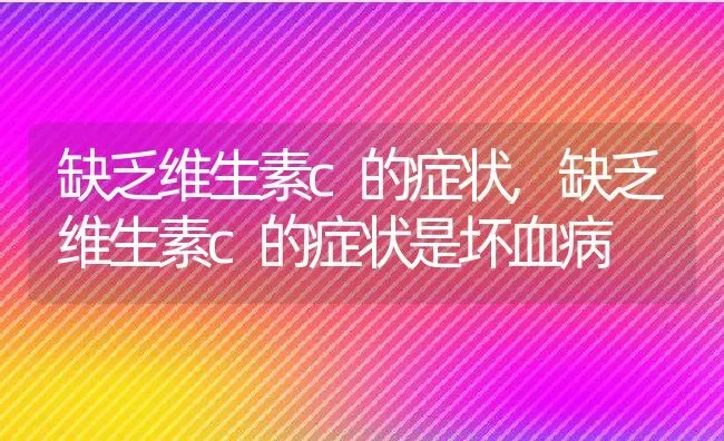 缺乏维生素c的症状,缺乏维生素c的症状是坏血病 | 宠物百科知识