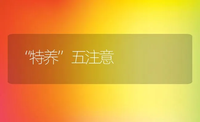 “特养”五注意 | 动物养殖饲料