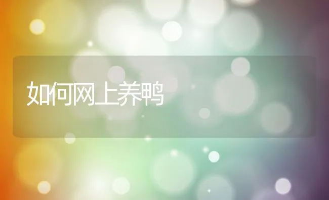 如何网上养鸭 | 动物养殖饲料