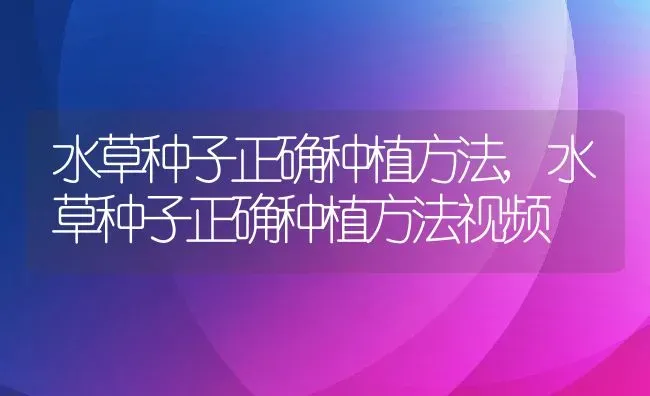 水草种子正确种植方法,水草种子正确种植方法视频 | 宠物百科知识