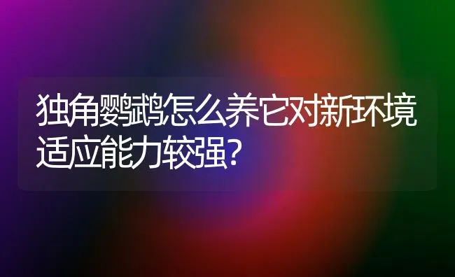 独角鹦鹉怎么养它对新环境适应能力较强？ | 动物养殖问答