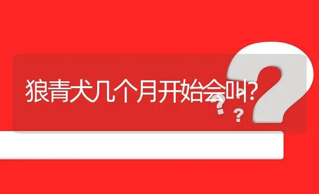 狼青犬几个月开始会叫？ | 动物养殖问答