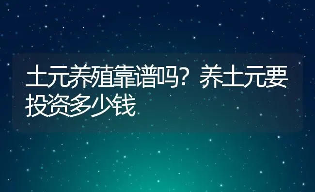 土元养殖靠谱吗？养土元要投资多少钱 | 动物养殖百科