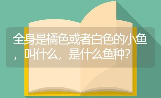 全身是橘色或者白色的小鱼，叫什么，是什么鱼种？ | 鱼类宠物饲养