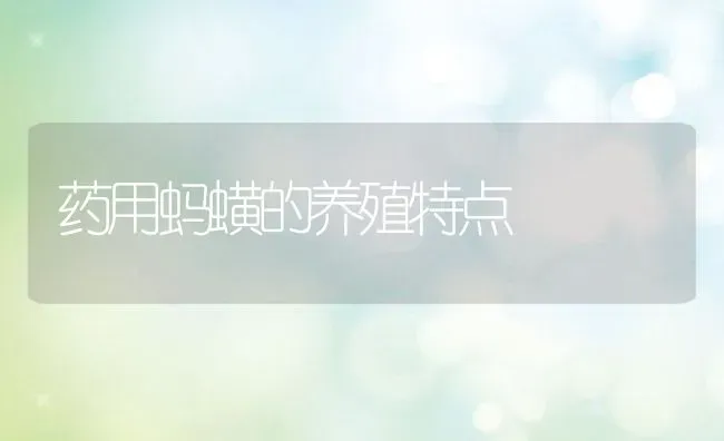 药用蚂蟥的养殖特点 | 动物养殖教程