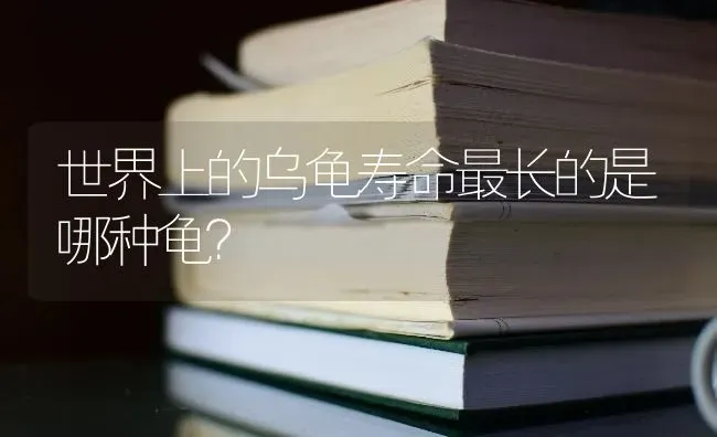 世界上的乌龟寿命最长的是哪种龟？ | 动物养殖问答