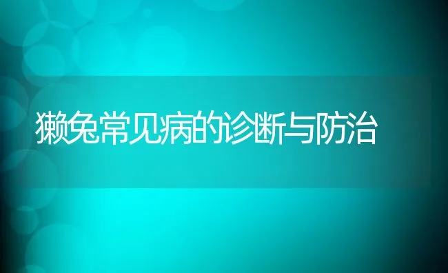 獭兔常见病的诊断与防治 | 动物养殖学堂