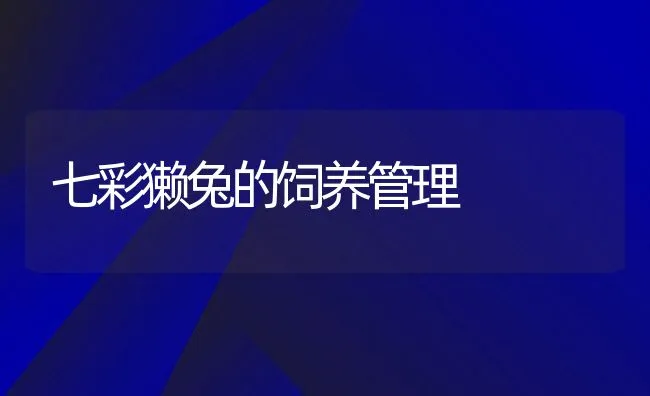 七彩獭兔的饲养管理 | 水产养殖知识