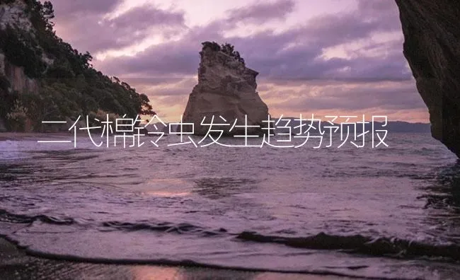 二代棉铃虫发生趋势预报 | 海水养殖技术