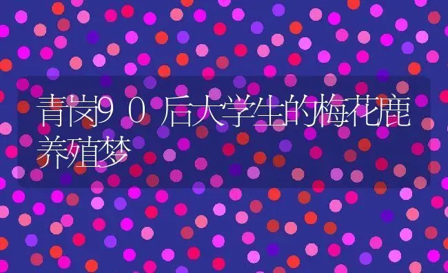 青岗90后大学生的梅花鹿养殖梦 | 动物养殖教程