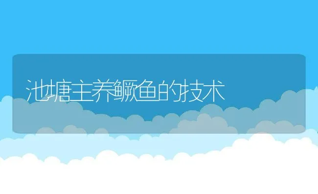 池塘主养鳜鱼的技术 | 动物养殖饲料