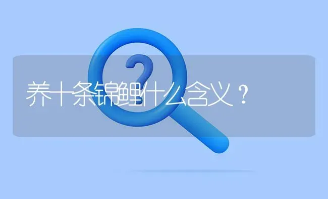 养十条锦鲤什么含义？ | 动物养殖问答