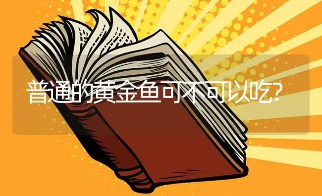 普通的黄金鱼可不可以吃？ | 鱼类宠物饲养