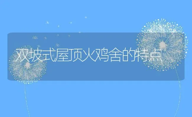 双坡式屋顶火鸡舍的特点 | 动物养殖教程