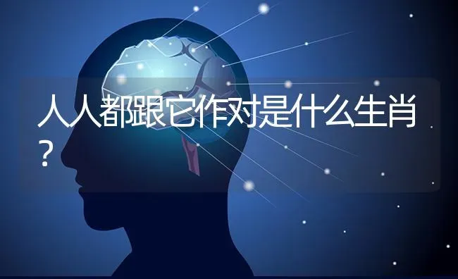 人人都跟它作对是什么生肖？ | 动物养殖问答