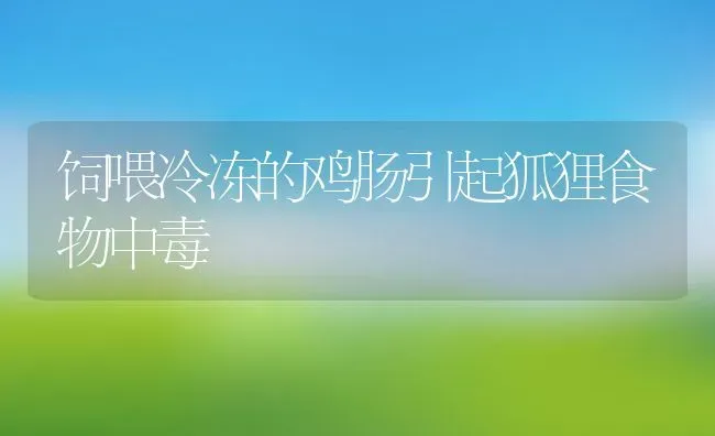 饲喂冷冻的鸡肠引起狐狸食物中毒 | 动物养殖教程