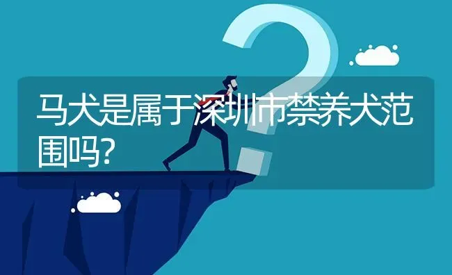 马犬是属于深圳市禁养犬范围吗？ | 动物养殖问答