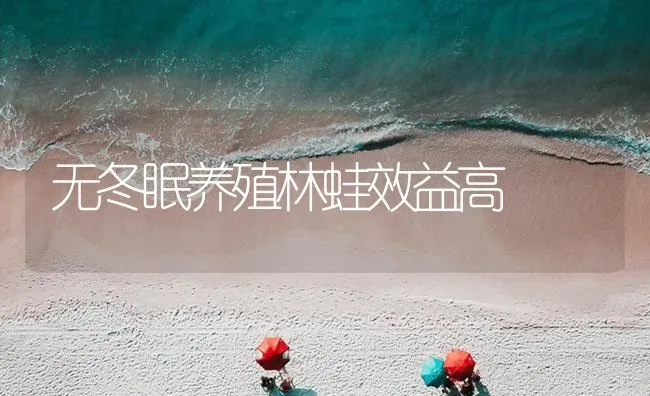 无冬眠养殖林蛙效益高 | 海水养殖技术