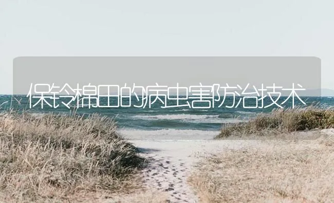 保铃棉田的病虫害防治技术 | 海水养殖技术