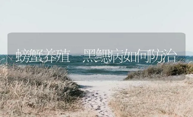 螃蟹养殖－黑鳃病如何防治 | 海水养殖技术