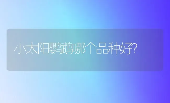 小太阳鹦鹉哪个品种好？ | 动物养殖问答