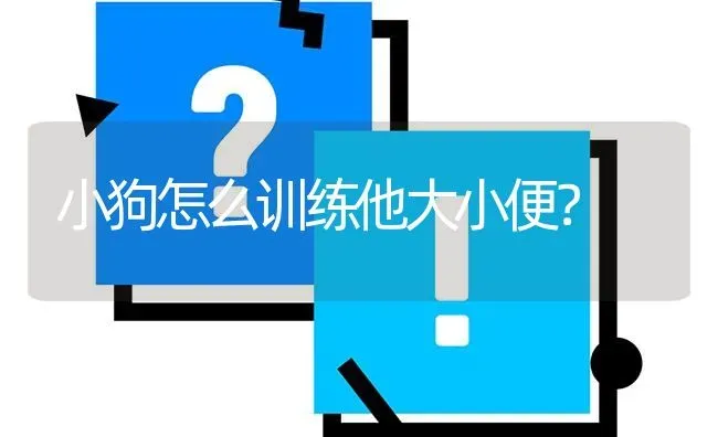 小狗怎么训练他大小便？ | 动物养殖问答