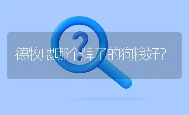 德牧生小狗为什么是黑色？ | 动物养殖问答