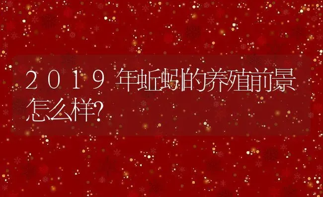 2019年蚯蚓的养殖前景怎么样？ | 动物养殖百科