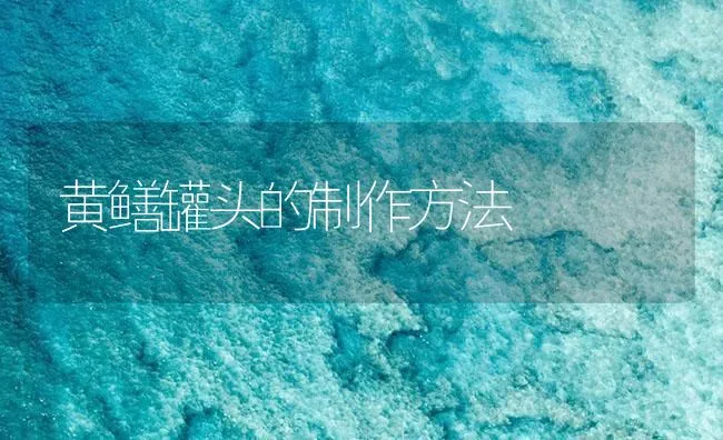 黄鳝罐头的制作方法 | 海水养殖技术