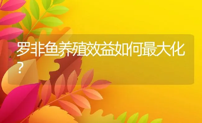 罗非鱼养殖效益如何最大化？ | 动物养殖饲料