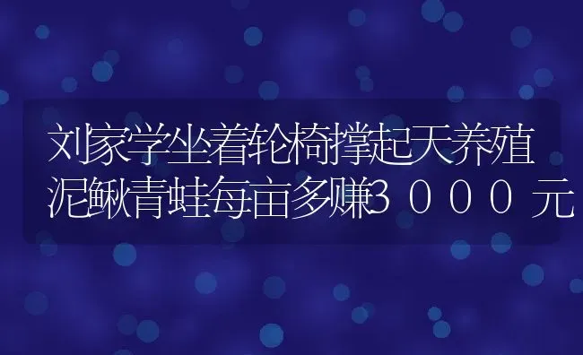 刘家学坐着轮椅撑起天养殖泥鳅青蛙每亩多赚3000元 | 动物养殖百科